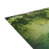 Summer Day by the Lake - Fine Art Greeting Cards